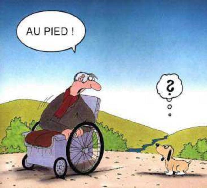 au_pied.jpg