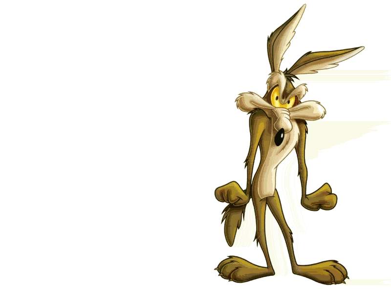 Coyotte_01.jpg