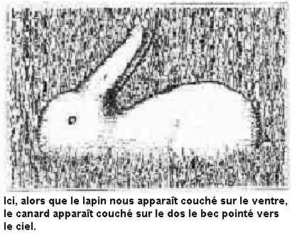 illusion_lapin_canard.jpg