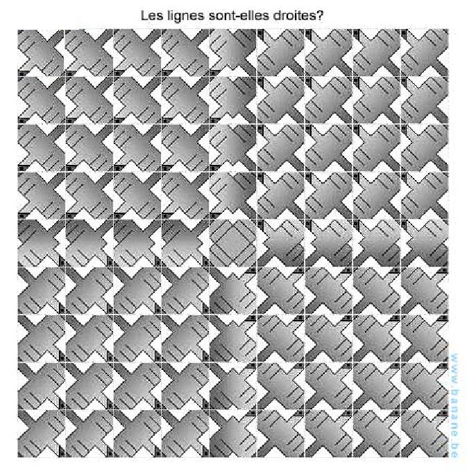 lignes_droites.jpg