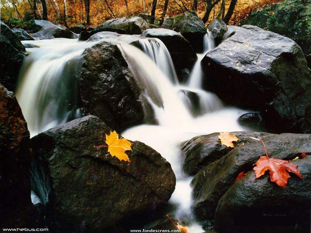 Chutes_13.jpg