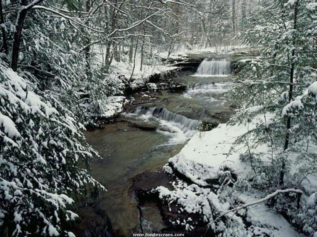 Chutes_21.jpg