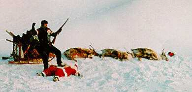 chasse_de_noel.jpg